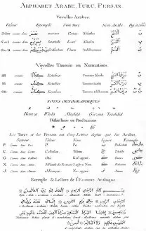 Persian Collection: Ancient Alphabets