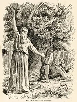 Ancient British Druids pick Mistletoe