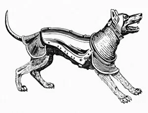 Accompany Gallery: Ancient Dog Armour - 1