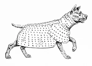 Combat Collection: Ancient Dog Armour - 2