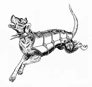 Ancient Dog Armour - 3