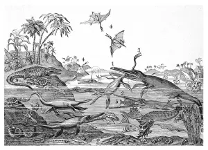 Diversity Prints: ANCIENT DORSETSHIRE