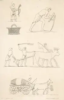 S Eed Prints: Ancient Egypt Farming