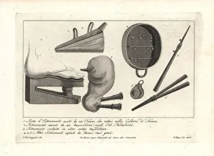 Tibia Collection: Ancient musical instruments including bellows