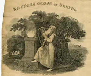 Harp Prints: Ancient Order of Druids