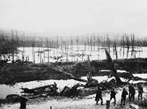 Ancre Valley 1916