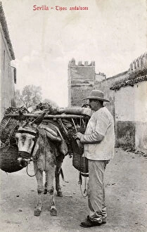 Laden Gallery: Andalucian Man with his laden donkey - Seville, Spain