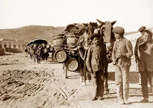 Andalusian Collection: Andalusian carts entering Almeria, Spain