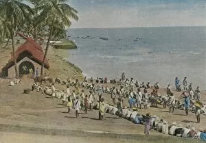 Andaman Island Convicts