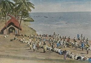 Andaman Gallery: Andaman Island Convicts