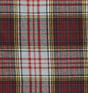 Images Dated 6th October 2011: Anderson Tartan