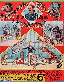 Circuses Prints: Anderton and Haslams Menagerie