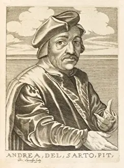 Andrea Del Sarto