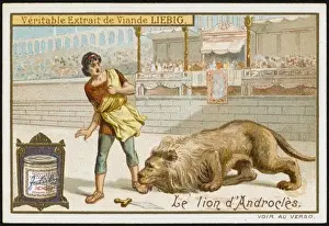 Androcles & Lion