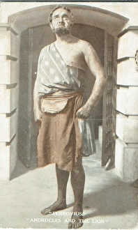 Androcles and the Lion by Shaw