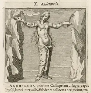 Andromeda Prints: Andromeda 1681
