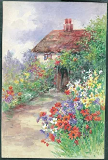 Anemones and Cottage Door