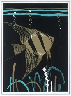 Angel Fish Illustration