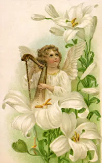 Lilies Gallery: Angel in the Lilies