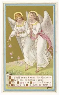 Scatter Prints: Angels Scatter Flowers
