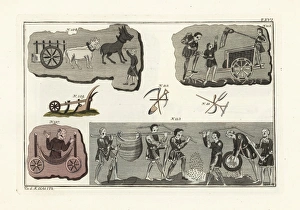 Anglosaxon Gallery: Anglo Saxon agriculture