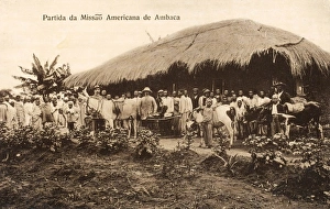 Live Stock Collection: Angola - The American Mission to Ambaca