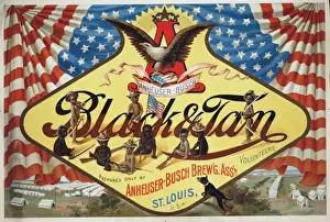 Anheuser-Busch black & tan prepared only by Anheuser-Busch b
