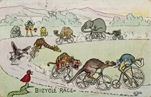 Compete Gallery: Animal Bicycle Race