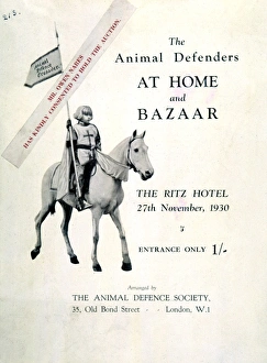 Defenders Gallery: Animal Defence Society