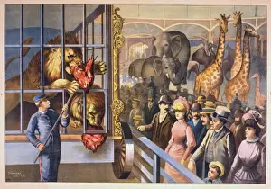 An animal keeper feeding raw meat to lions in a circus cage