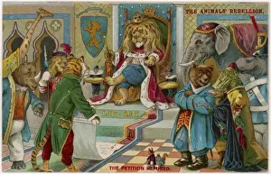 Animal Rebellion - 1