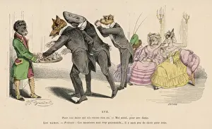 Greedy Prints: Animal Reception