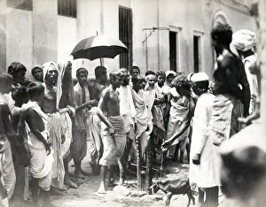Slaughter Prints: Animal slaughter, young goat, watching crowd, India