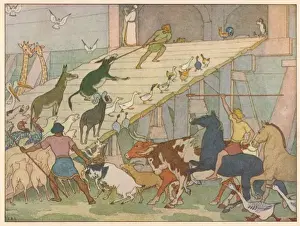 Animals Board the Ark