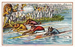 Images Dated 10th July 2018: Animals in boat race on a Christmas card