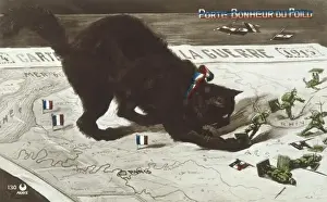 Lucky Prints: Animals / Cats