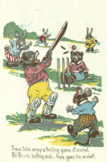 Anthropomorphic Gallery: Animals Cricket Match