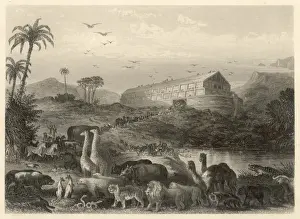 Animals Enter the Ark