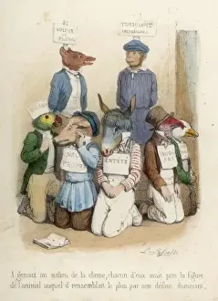 Animals Failings