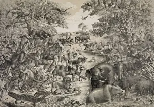 Animals for Noahs ark