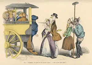 Animals on Omnibus