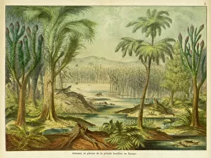 Animals and plants of the Carboniferous era