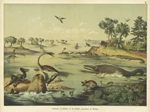 Extinction Prints: Animals and plants of the Jurassic era