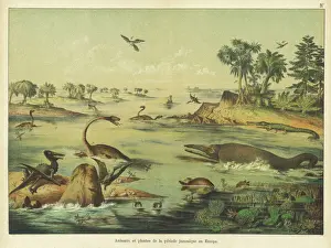 Animals and plants of the Jurassic era