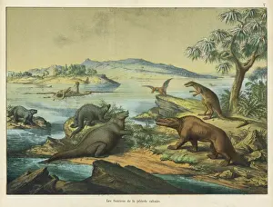 Animals and plants of the post-Jurassic era