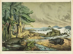 Animals and plants of the Triassic era