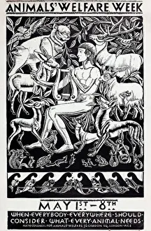 Pastoral Prints: Animals Welfare Week