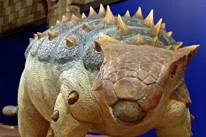 Cretaceous Period Collection: Ankylosaurus