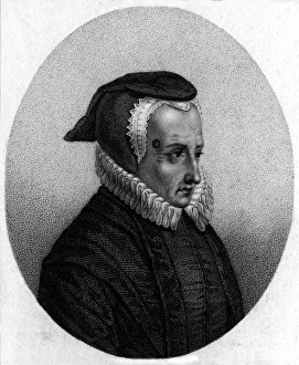 Flourished Collection: Ann Countess of Arundel