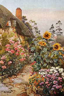 Shakespeare Prints: Ann Hathaways Garden